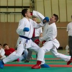 Wiener Karate Landesmeisterschaft 2014