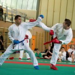 Wiener Karate Landesmeisterschaft 2014