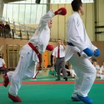 Wiener Karate Landesmeisterschaft 2014