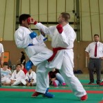 Wiener Karate Landesmeisterschaft 2014