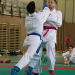 Wiener Karate Landesmeisterschaft 2014