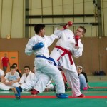 Wiener Karate Landesmeisterschaft 2014