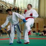 Wiener Karate Landesmeisterschaft 2014