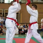 Wiener Karate Landesmeisterschaft 2014