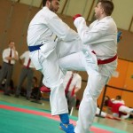 Wiener Karate Landesmeisterschaft 2014