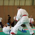 Wiener Karate Landesmeisterschaft 2014