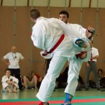 Wiener Karate Landesmeisterschaft 2014