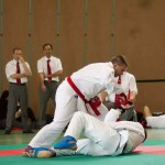 Wiener Karate Landesmeisterschaft 2014