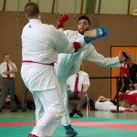 Wiener Karate Landesmeisterschaft 2014