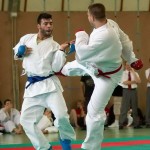 Wiener Karate Landesmeisterschaft 2014