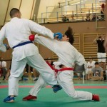 Wiener Karate Landesmeisterschaft 2014