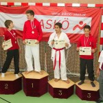 Wiener Karate Landesmeisterschaft 2014