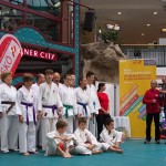 Karate Vorführung in der Lugner City