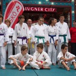 Karate Vorführung in der Lugner City