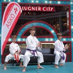 Karate Vorführung in der Lugner City