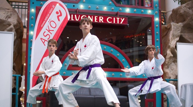 Karate Vorführung in der Lugner City