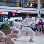 Karate Vorführung in der Lugner City