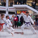 Karate Vorführung in der Lugner City