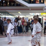 Karate Vorführung in der Lugner City