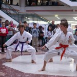 Karate Vorführung in der Lugner City