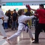 Karate Vorführung in der Lugner City