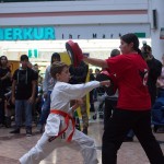 Karate Vorführung in der Lugner City