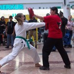 Karate Vorführung in der Lugner City