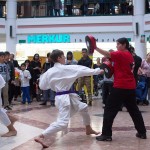 Karate Vorführung in der Lugner City