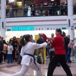 Karate Vorführung in der Lugner City