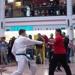 Karate Vorführung in der Lugner City