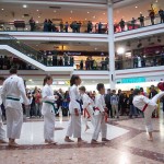 Karate Vorführung in der Lugner City