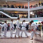 Karate Vorführung in der Lugner City