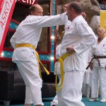 Karate Vorführung in der Lugner City