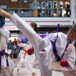 Karate Vorführung in der Lugner City