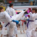 Karate Vorführung in der Lugner City