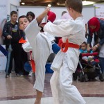 Karate Vorführung in der Lugner City