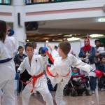 Karate Vorführung in der Lugner City