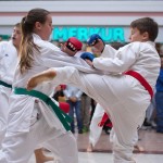 Karate Vorführung in der Lugner City