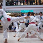 Karate Vorführung in der Lugner City