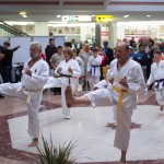 Karate Vorführung in der Lugner City