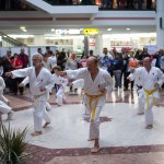 Karate Vorführung in der Lugner City