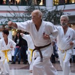 Karate Vorführung in der Lugner City