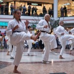 Karate Vorführung in der Lugner City