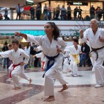 Karate Vorführung in der Lugner City