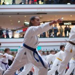 Karate Vorführung in der Lugner City