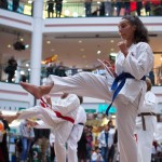 Karate Vorführung in der Lugner City