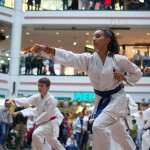 Karate Vorführung in der Lugner City