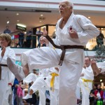 Karate Vorführung in der Lugner City