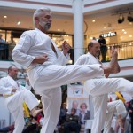 Karate Vorführung in der Lugner City