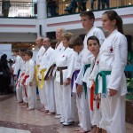 Karate Vorführung in der Lugner City